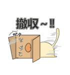 ネコ3兄弟3（個別スタンプ：36）