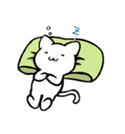 Willful Bob cat（個別スタンプ：28）