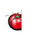 トマト 100％（個別スタンプ：5）