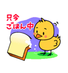 Happy ひよっこ（個別スタンプ：19）