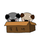 双子犬（個別スタンプ：36）