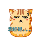 Bad Face Cat（個別スタンプ：2）