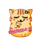 Bad Face Cat（個別スタンプ：3）