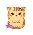 Bad Face Cat（個別スタンプ：5）