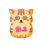 Bad Face Cat（個別スタンプ：7）