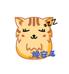 Bad Face Cat（個別スタンプ：8）