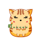 Bad Face Cat（個別スタンプ：9）