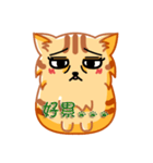 Bad Face Cat（個別スタンプ：11）