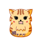 Bad Face Cat（個別スタンプ：12）