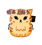 Bad Face Cat（個別スタンプ：13）