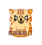 Bad Face Cat（個別スタンプ：14）