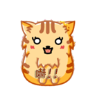 Bad Face Cat（個別スタンプ：17）