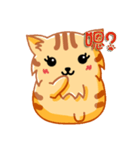 Bad Face Cat（個別スタンプ：20）