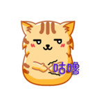 Bad Face Cat（個別スタンプ：21）