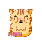 Bad Face Cat（個別スタンプ：23）