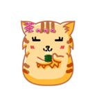 Bad Face Cat（個別スタンプ：24）