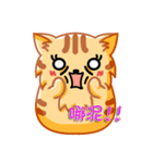 Bad Face Cat（個別スタンプ：28）