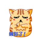 Bad Face Cat（個別スタンプ：30）