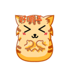 Bad Face Cat（個別スタンプ：31）