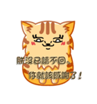 Bad Face Cat（個別スタンプ：36）