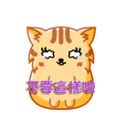 Bad Face Cat（個別スタンプ：37）