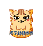 Bad Face Cat（個別スタンプ：39）