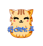 Bad Face Cat（個別スタンプ：40）