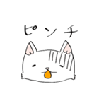 にあんたん1（個別スタンプ：11）