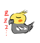 オカメインコ 四十面相 FOR NORMAL（個別スタンプ：1）