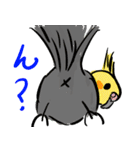 オカメインコ 四十面相 FOR NORMAL（個別スタンプ：5）