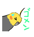 オカメインコ 四十面相 FOR NORMAL（個別スタンプ：6）