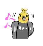 オカメインコ 四十面相 FOR NORMAL（個別スタンプ：7）