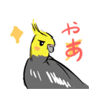オカメインコ 四十面相 FOR NORMAL（個別スタンプ：8）
