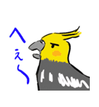 オカメインコ 四十面相 FOR NORMAL（個別スタンプ：10）