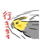 オカメインコ 四十面相 FOR NORMAL（個別スタンプ：11）