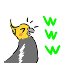 オカメインコ 四十面相 FOR NORMAL（個別スタンプ：12）