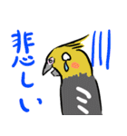 オカメインコ 四十面相 FOR NORMAL（個別スタンプ：14）