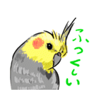 オカメインコ 四十面相 FOR NORMAL（個別スタンプ：16）