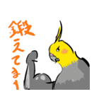 オカメインコ 四十面相 FOR NORMAL（個別スタンプ：18）