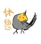 オカメインコ 四十面相 FOR NORMAL（個別スタンプ：20）