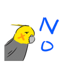 オカメインコ 四十面相 FOR NORMAL（個別スタンプ：22）