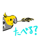 オカメインコ 四十面相 FOR NORMAL（個別スタンプ：23）