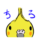 オカメインコ 四十面相 FOR NORMAL（個別スタンプ：25）