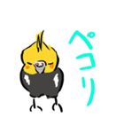 オカメインコ 四十面相 FOR NORMAL（個別スタンプ：26）