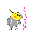 オカメインコ 四十面相 FOR NORMAL（個別スタンプ：28）
