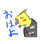 オカメインコ 四十面相 FOR NORMAL（個別スタンプ：29）