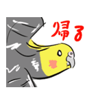 オカメインコ 四十面相 FOR NORMAL（個別スタンプ：32）
