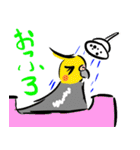 オカメインコ 四十面相 FOR NORMAL（個別スタンプ：33）
