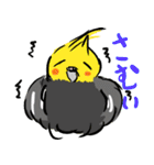 オカメインコ 四十面相 FOR NORMAL（個別スタンプ：35）