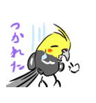 オカメインコ 四十面相 FOR NORMAL（個別スタンプ：36）